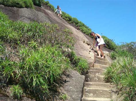 Rio de Janeiro: Tijuca's Peak Hiking Tour | GetYourGuide