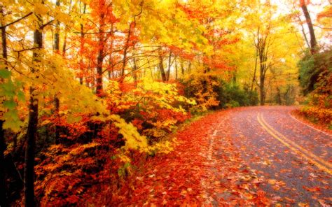 Fall Foliage Wallpapers For Desktop - Wallpaper Cave