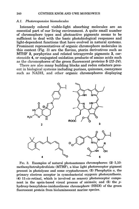 6-4 Photolyase photoantenna - Big Chemical Encyclopedia