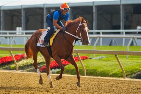 What races are in the Triple Crown, who was the last horse to win it ...