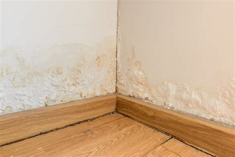 Water Damage Wall Repair Service | Wall Drying Kansas City