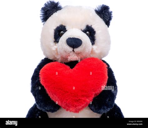 Panda bear stuffed plush toy with red fluffy heart isolated on white ...