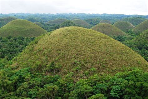 Chocolate Hills of Bohol Philippines - World Natural Heritage