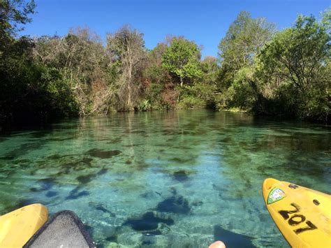 Weeki Wachee Springs Kayaking with Manatees | Camdenliving.com | Cindy ...