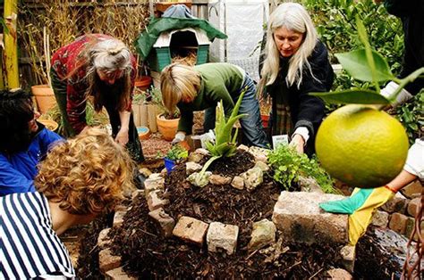 Permaculture | Description, Principles, & Facts | Britannica