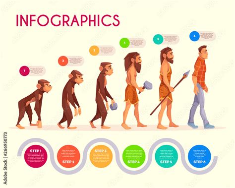 Obraz Infografiki ewolucji człowieka. Kroki małpy przekształcające się w współczesny człowiek ...