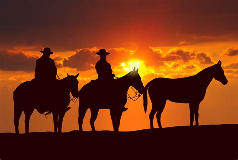 Download Sunset Horse Silhouette Photography Cowboy HD Wallpaper