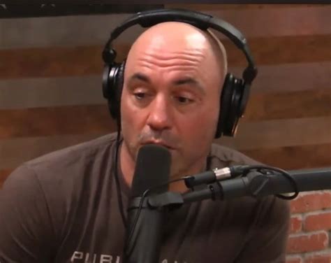 "I Am A Joe Rogan Fan And I..." - Lex Fridman Confronts Political ...