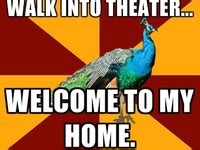 46 Stage Crew Quotes ideas | stage crew, theatre geek, theatre memes