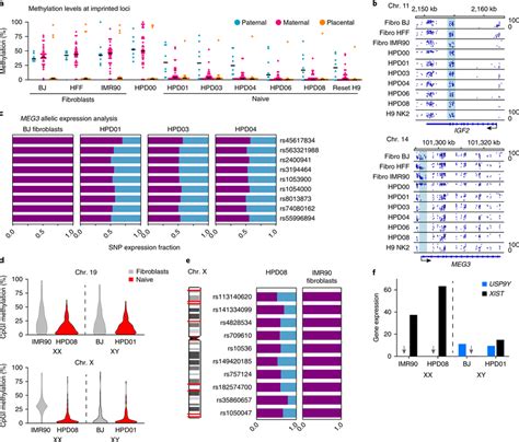 Analysis of imprinted and X-linked genes status a, Methylation levels ...