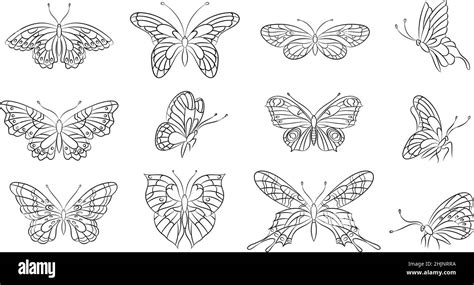 Butterflies line silhouettes. Spring butterfly, abstract outline tattoo stencil. Summer insects ...