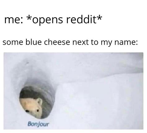 Cheese Gromit : r/memes