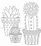 Printable Cactus Coloring Pages sketch template