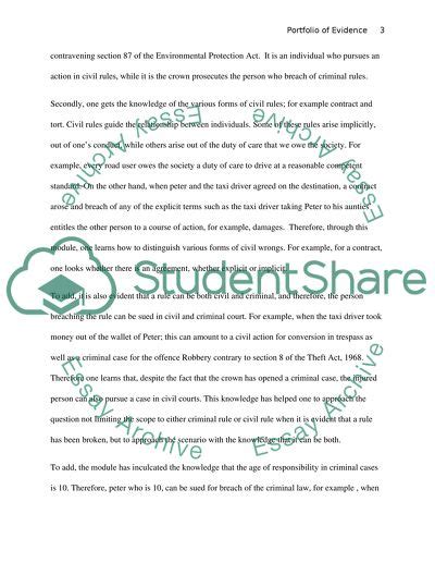 Portfolio of evidence Essay Example | Topics and Well Written Essays ...