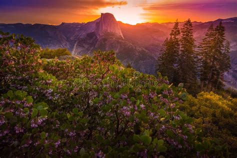 Yosemite National Park Sunrise Glacier Point Stock Photo - Image of trees, rock: 76697696