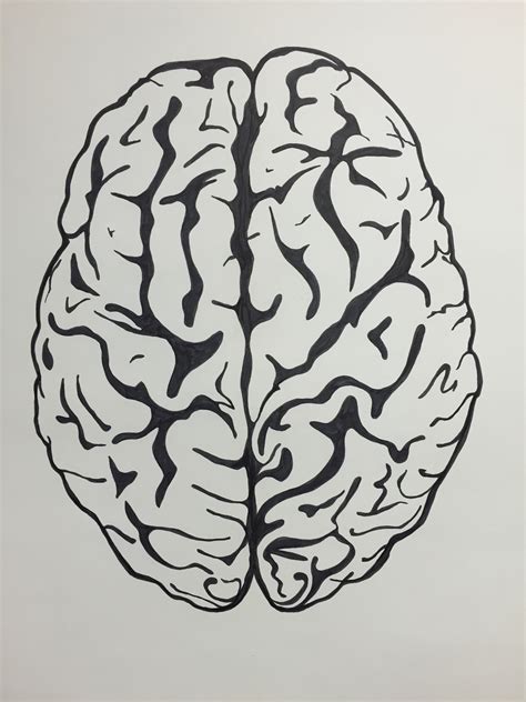 The Art of Brain Pencil Drawing: A Detailed Guide to Illustrating The Human Mind