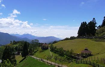 Cingjing Farm (Qingjing Farm) - Taiwanleaftea.com