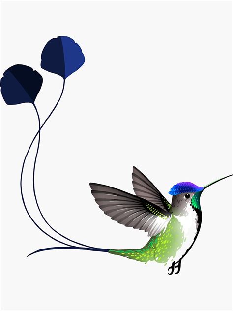 "Marvellous Spatuletail Hummingbird" Sticker for Sale by twicinas ...