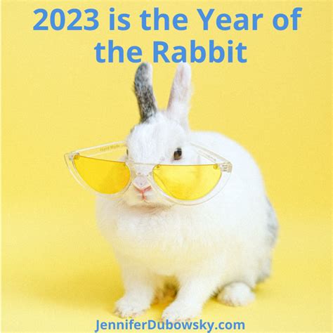 2023 Is The Year Of The Water Rabbit - Jennifer Dubowsky, DIPL.Ac.