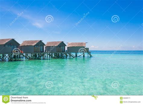 Beautiful Beach Landscape at Maldives. Stock Image - Image of tree, palm: 65009171