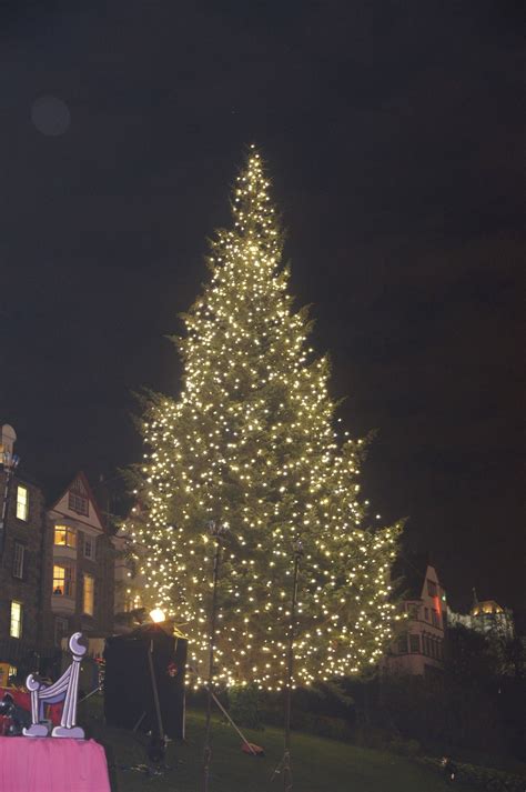 Edinburgh's Norwegian Christmas Tree on The Mound | Norwegian christmas ...