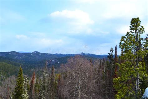 The Nature of Krasnoyarsk Region 5 Stock Photo - Image of poles ...