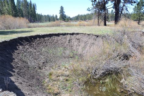 Historic Restoration Underway At Yosemite’s Ackerson Meadow ...