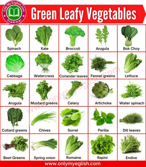 Green Leafy Vegetables Name in English with Pictures » OnlyMyEnglish