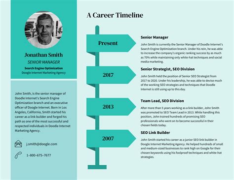 Career Timeline Infographic Template - Venngage