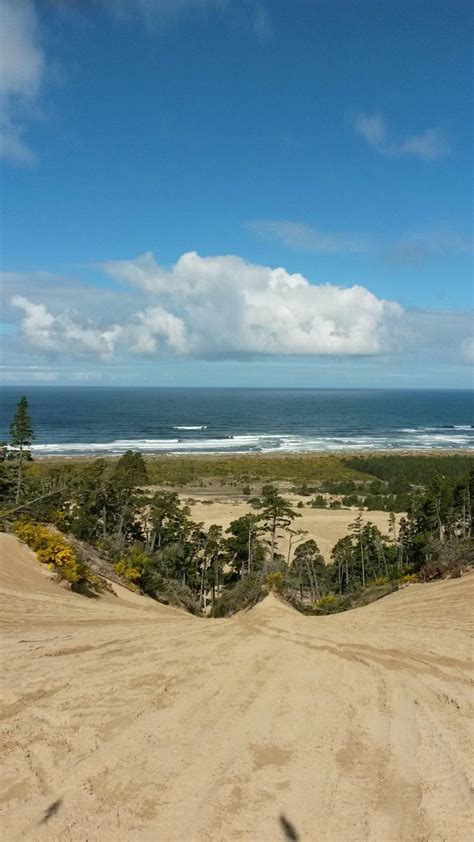 Top of Banshee Hill in the Dunes of Winchester Bay, Oregon. [OC ...