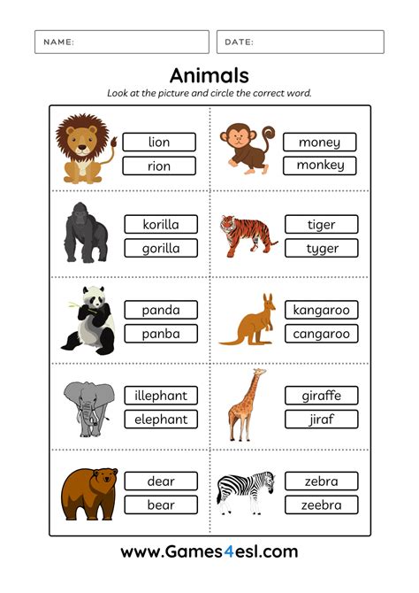 Animals Worksheets For Grade 1 Pdf