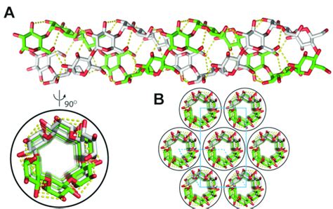 V-Amylose At Atomic Resolution: X-ray Structure Of A, 55% OFF