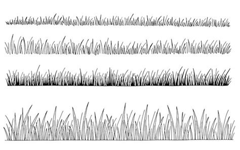 Grass Outline Black And White