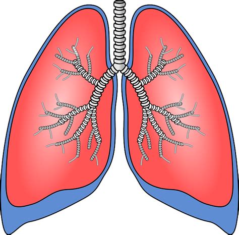 Acute hyperventilation - a normal body function in stressful situations