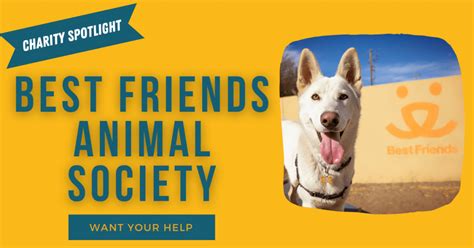 Help Best Friends Animal Society Reach Their “No Kill 2025” Goal – Dog ...