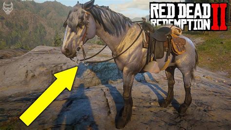 ULTRA RAREST HORSES IN Red Dead Redemption 2 (RDR 2 rare horse location ...