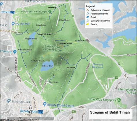 Streams in Bukit Timah Nature Reserve (Source: basemap Google Earth@2019). | Download Scientific ...