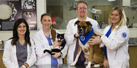 Veterinary Technician Schools – Help Deciding - Kokusai Pet - Choose ...