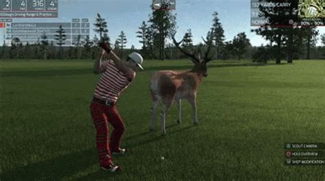 Deer Hunting GIFs | Tenor