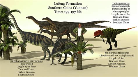 Size Reference Chart Of Early Dinosaurs Photograph by Arthur Dorety - Fine Art America