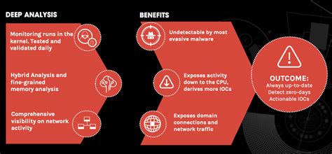 Malware Analysis Explained | Steps & Examples | CrowdStrike