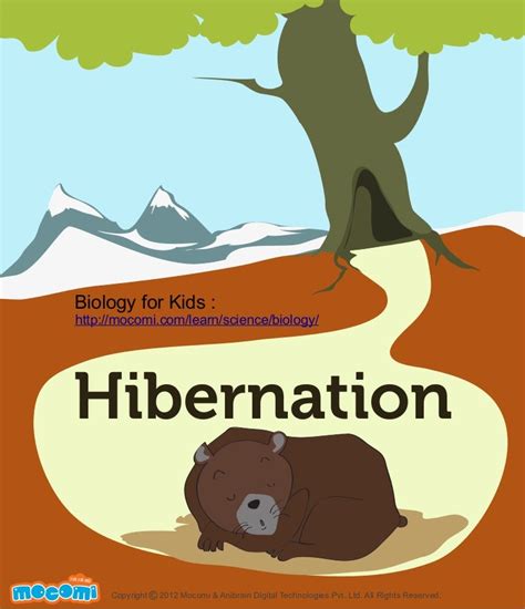 Interesting Facts about Hibernation - Mocomi.com