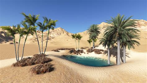 Desert Oasis Wallpapers - Wallpaper Cave