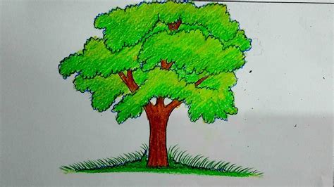 How to draw a tree-Tree Tree drawing pencil- tree drawing - YouTube