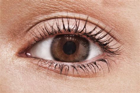 How Common Are Various Eye Colors? Facts & Stats