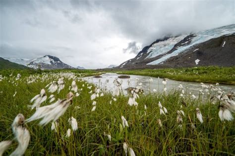 Eight Days Hiking in the Alaskan Wilderness