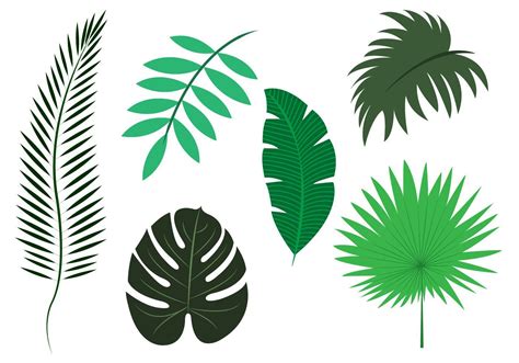 Vector Set of Palm Leaves | Leaf stencil, Leaf illustration, Palm leaf design