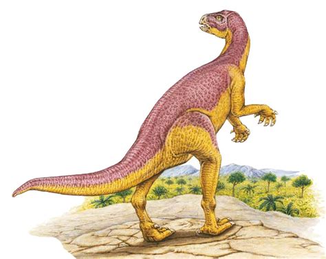 Xiaosaurus Pictures & Facts - The Dinosaur Database