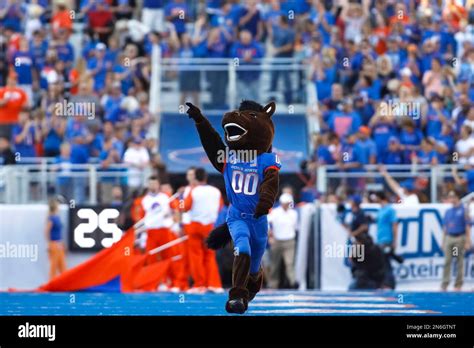 Boise State mascot Buster Bronco runs onto the field before an NCAA college football game ...