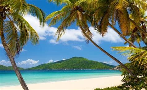 6 Best Beaches in the British Virgin Islands | Worldwide Boat